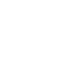 LOGO FINAL_Plan de travail 1 copie 2 1